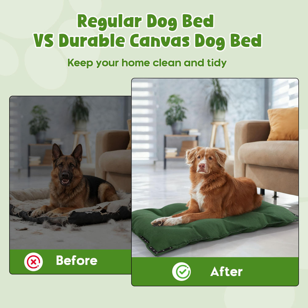 HOMBYS tough canvas with reinforced stitching shows high scratch resistance for active dogs.