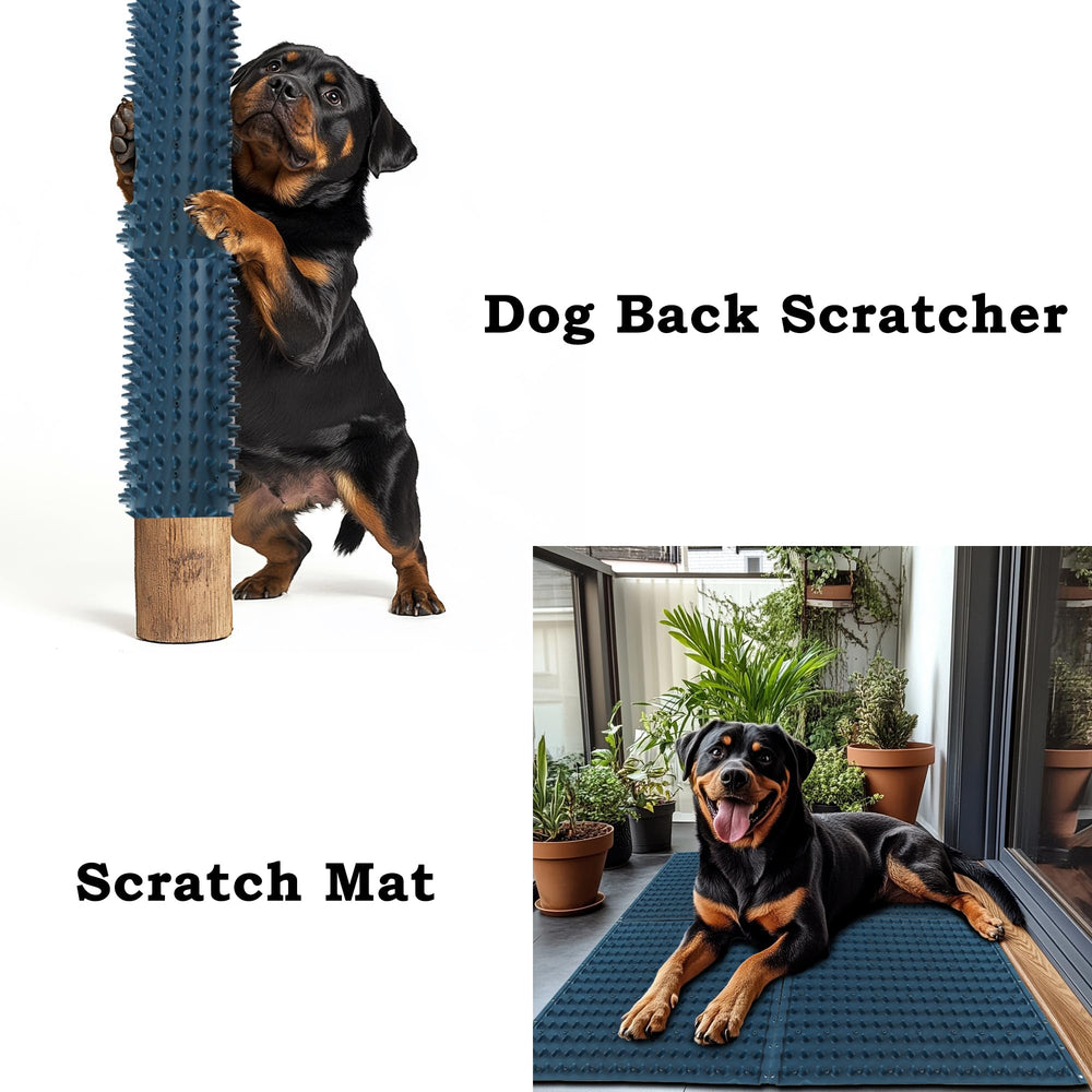 Homcare large blue scratch pad area showcases comfy grooming space for multiple animals