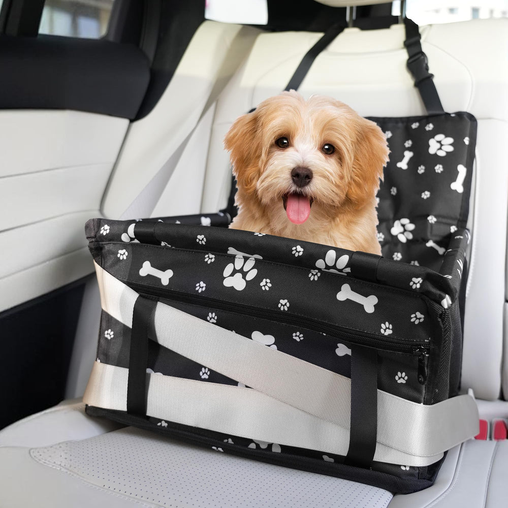 Homcolorful dog car seat front view shows a safe, snug ride for small dogs.