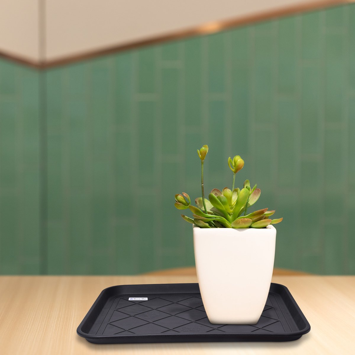 Home-Man dog bowl tray contains spills and keeps feeding areas tidy