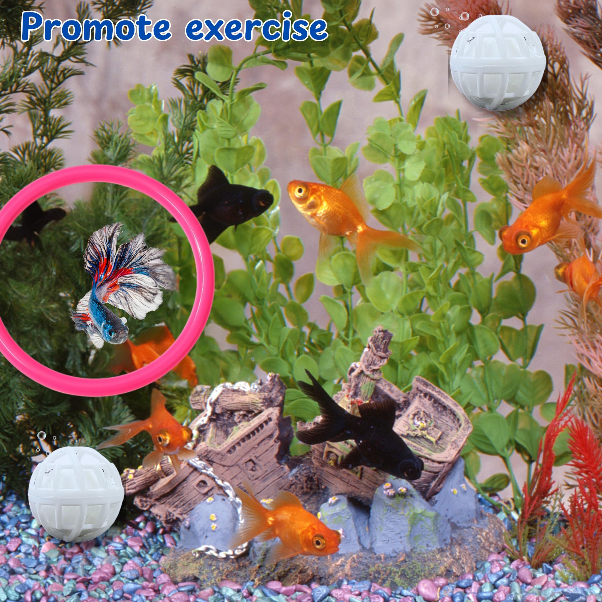Homedy Crafts Betta Ring pink training loops highlight interactive feeding opportunities.