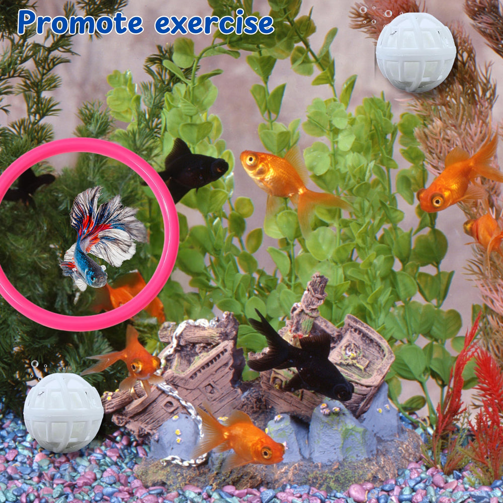 Homedy Crafts Betta Ring pink training loops highlight interactive feeding opportunities.