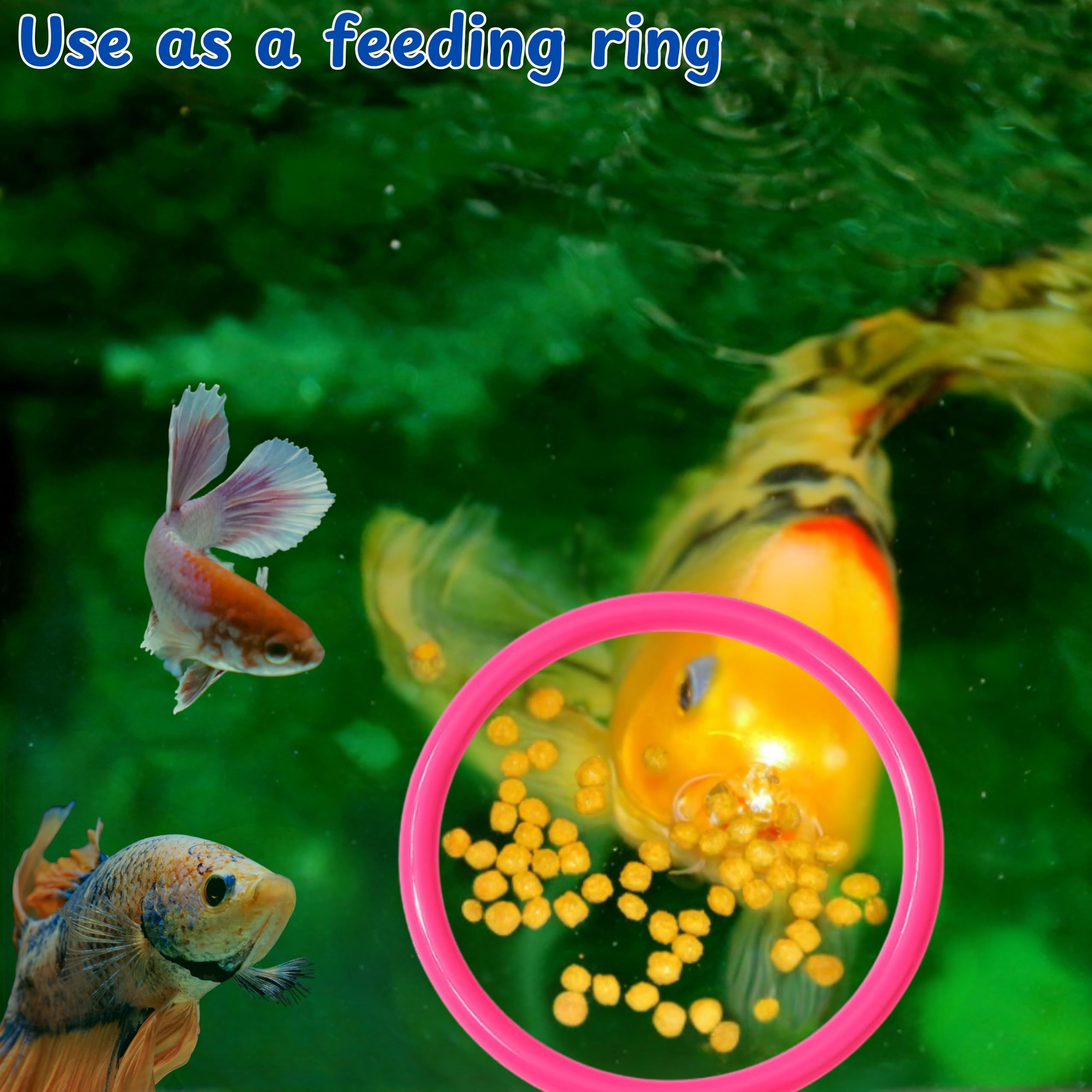Homedy Crafts Betta Ring pink turtle cleaner ball demonstrates surface cleaning action.