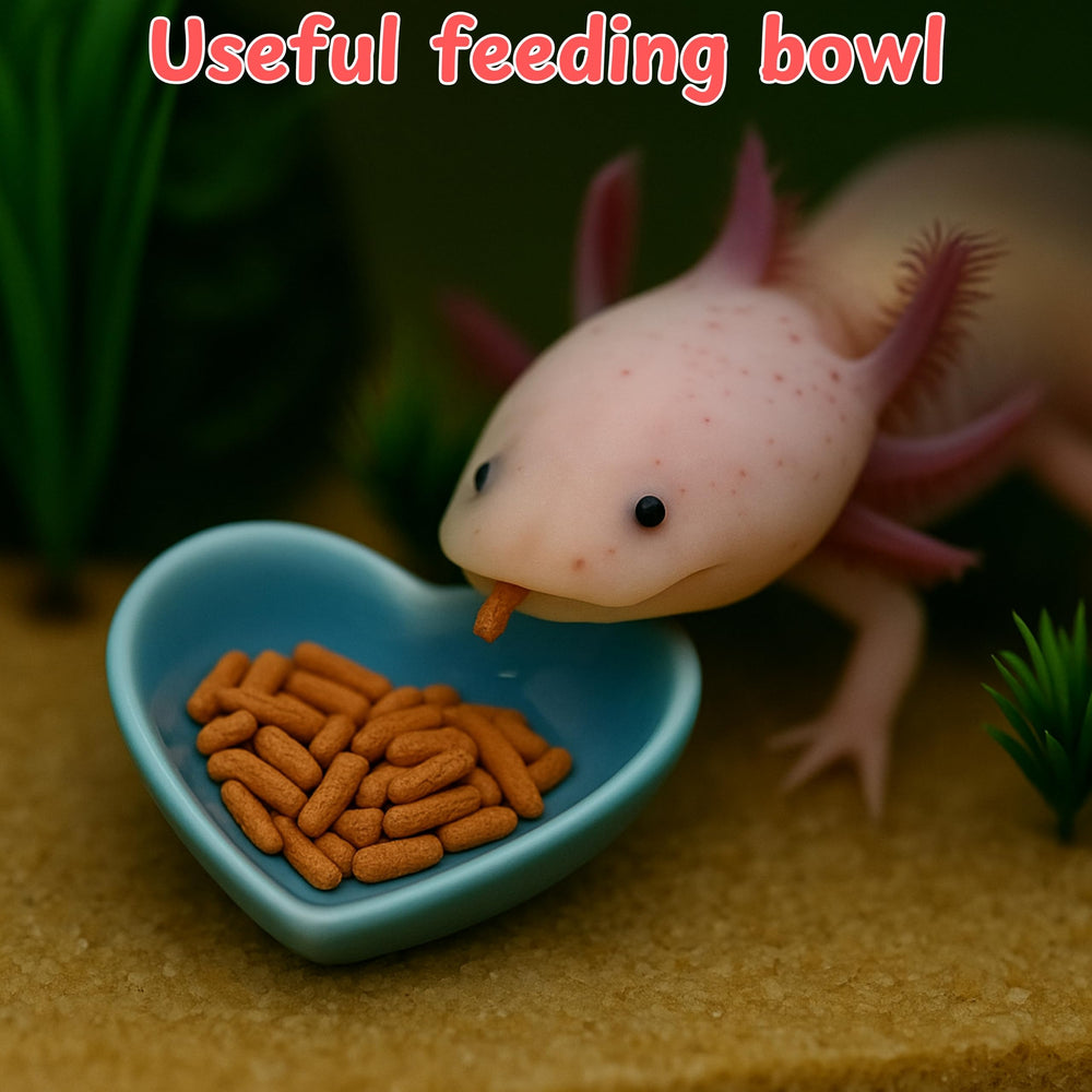Homedy Crafts Axolotl Hammock Ledge blue aquarium setup adds elegant tank decor and habitat.