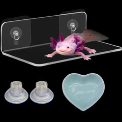 Homedy Crafts Axolotl Hammock Ledge blue front view shows elevated resting perch for calm observation.