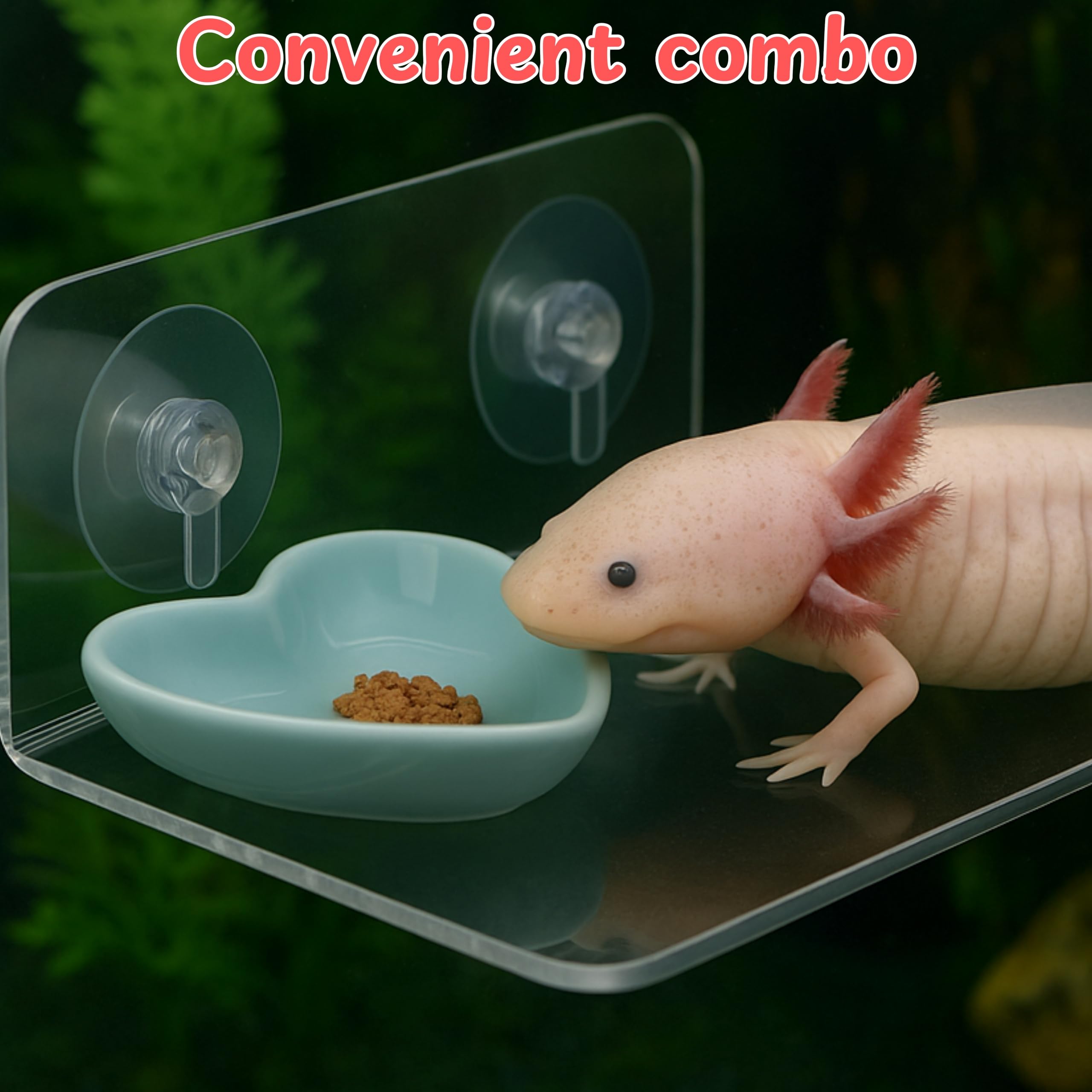 Homedy Crafts Axolotl Hammock Ledge blue mounted display demonstrates vertical-space expansion.