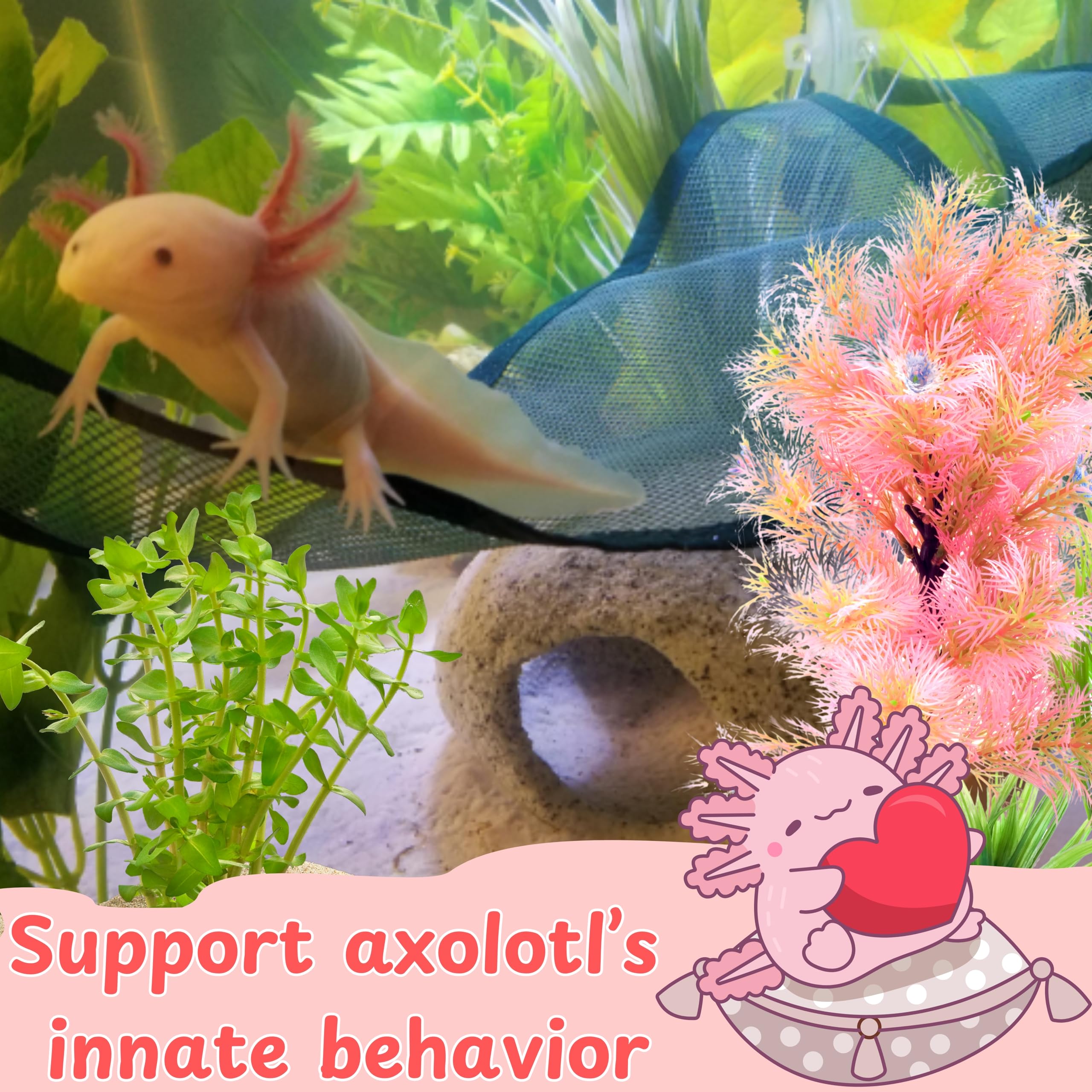 Homedy Crafts axolotl hide secure shelter enhances perceived safety and calm