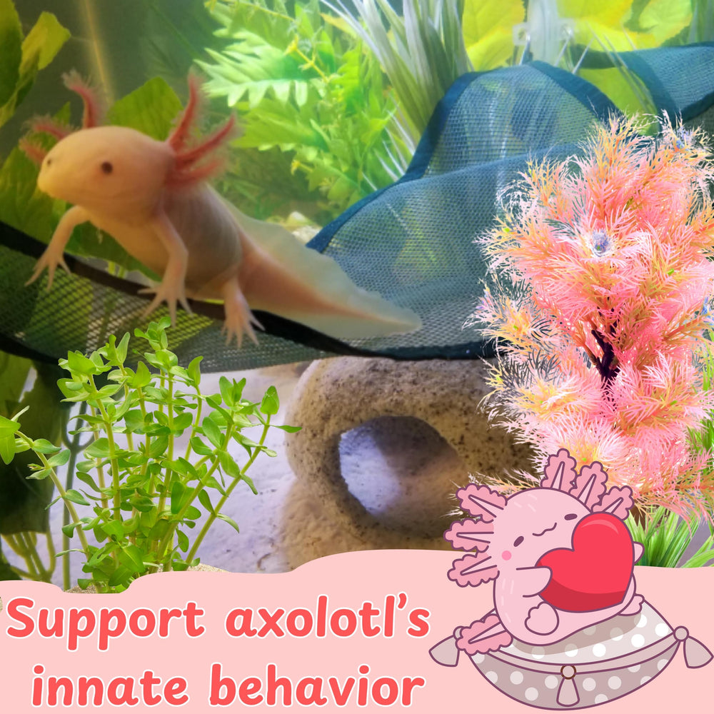 Homedy Crafts axolotl hide secure shelter enhances perceived safety and calm