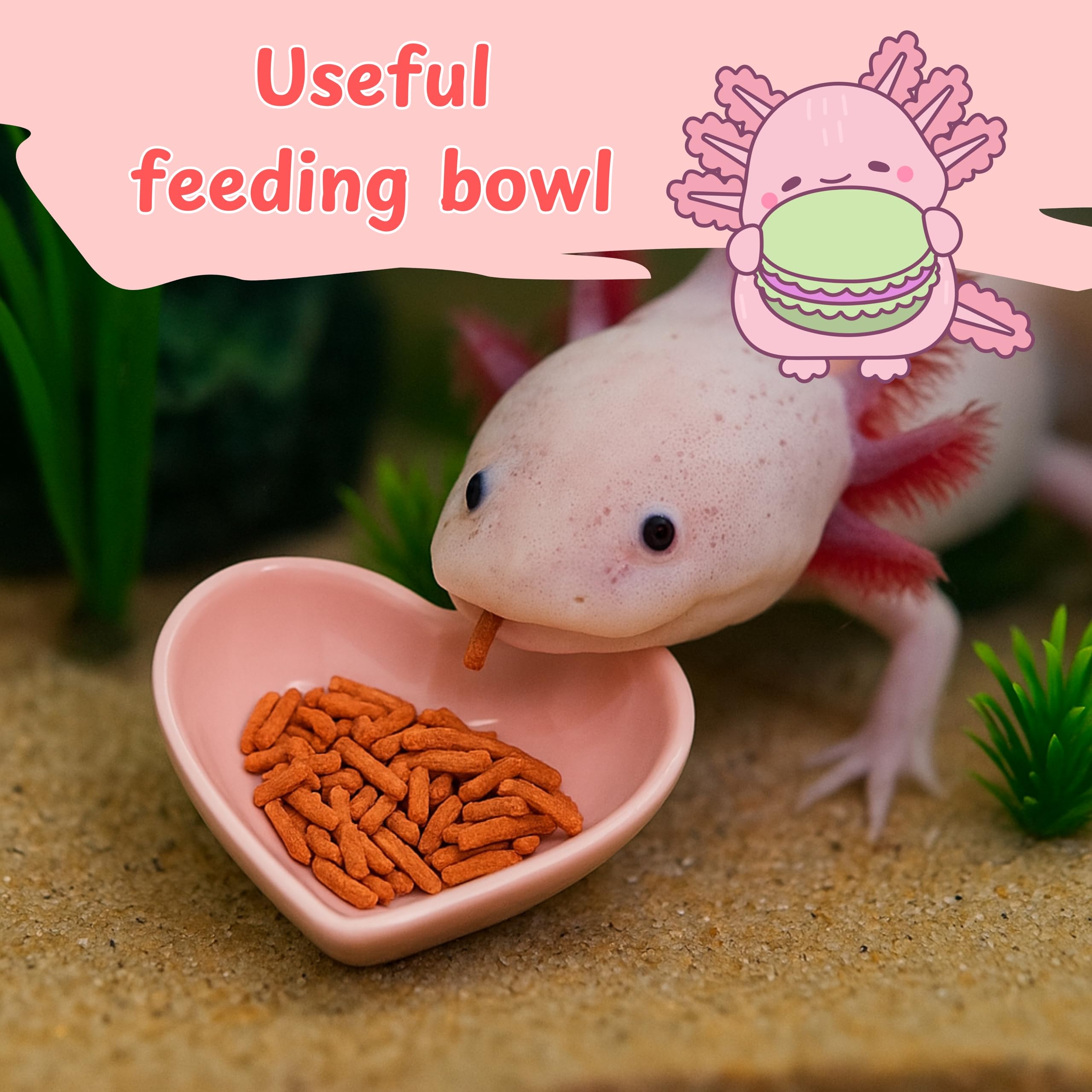 Homedy Crafts axolotl tank accessories durable setup reduces maintenance while inviting activity