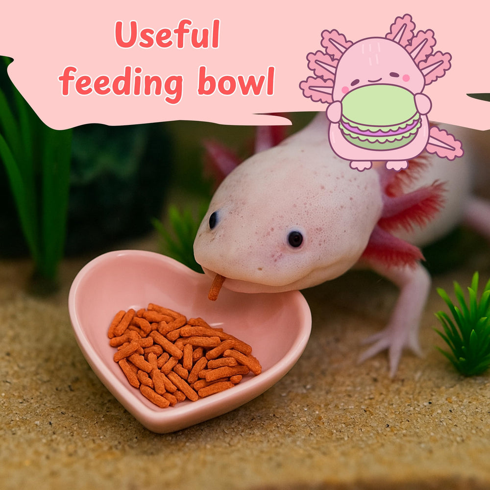Homedy Crafts axolotl tank accessories durable setup reduces maintenance while inviting activity