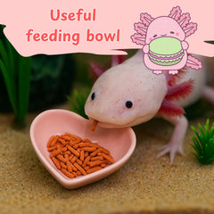 Homedy Crafts axolotl tank accessories durable setup reduces maintenance while inviting activity