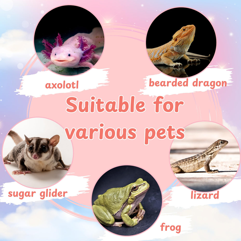Homedy Crafts axolotl tank safety materials durable construction for long-lasting use