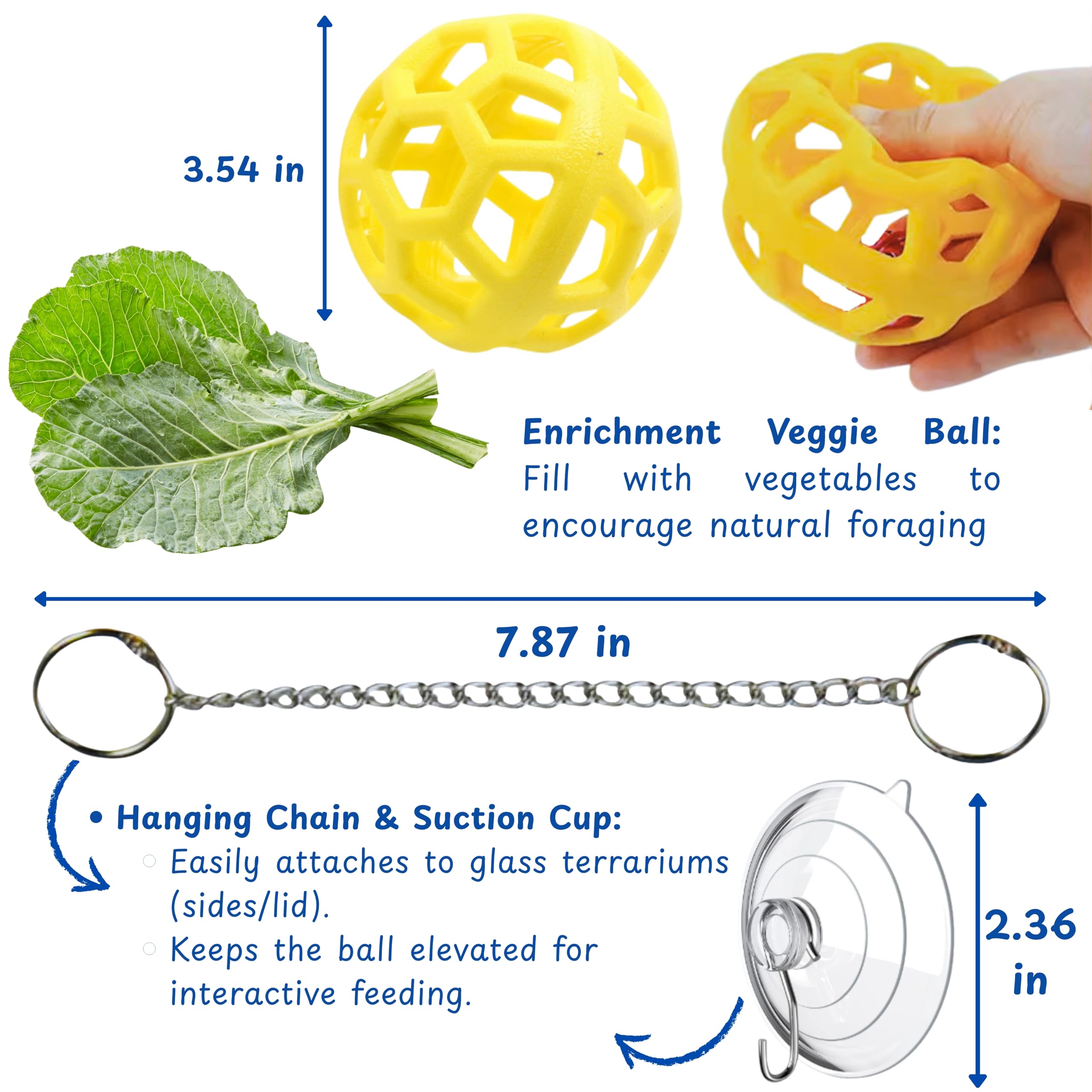 Homedy Crafts bearded dragon feeder ball in action supports mental stimulation during meals.