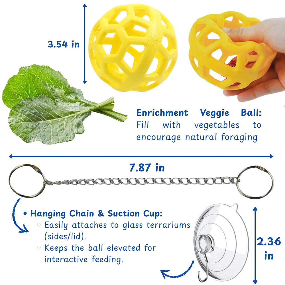 Homedy Crafts bearded dragon feeder ball in action supports mental stimulation during meals.