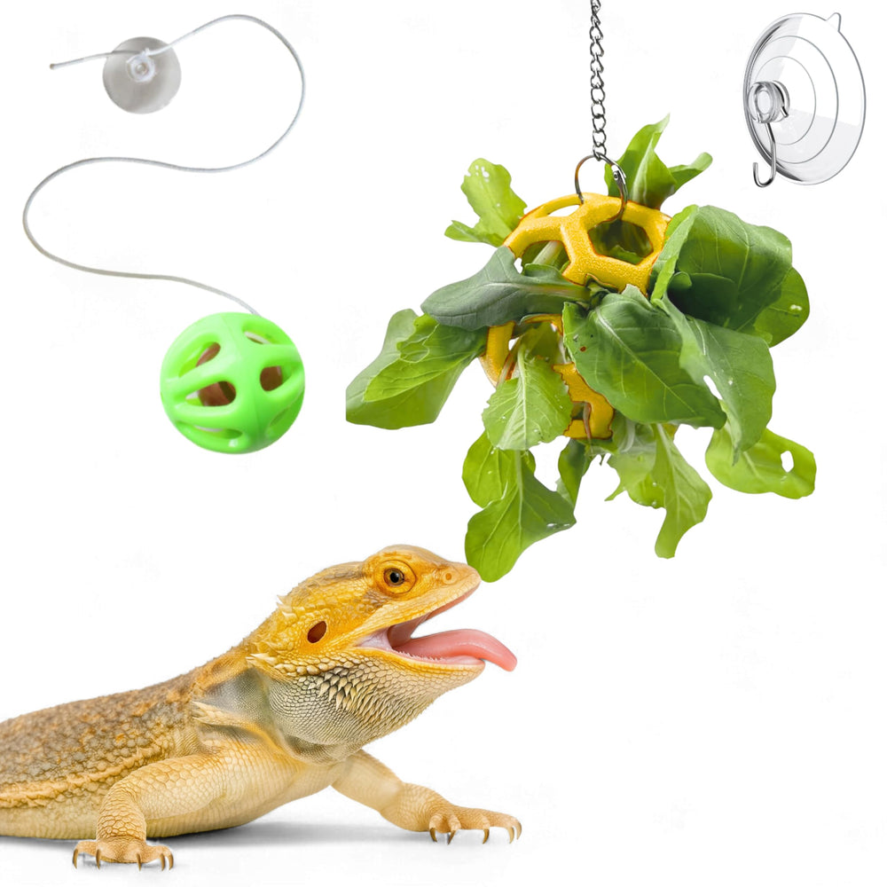 Homedy Crafts feeder ball yellow setup for beardie greens-foraging enrichment.