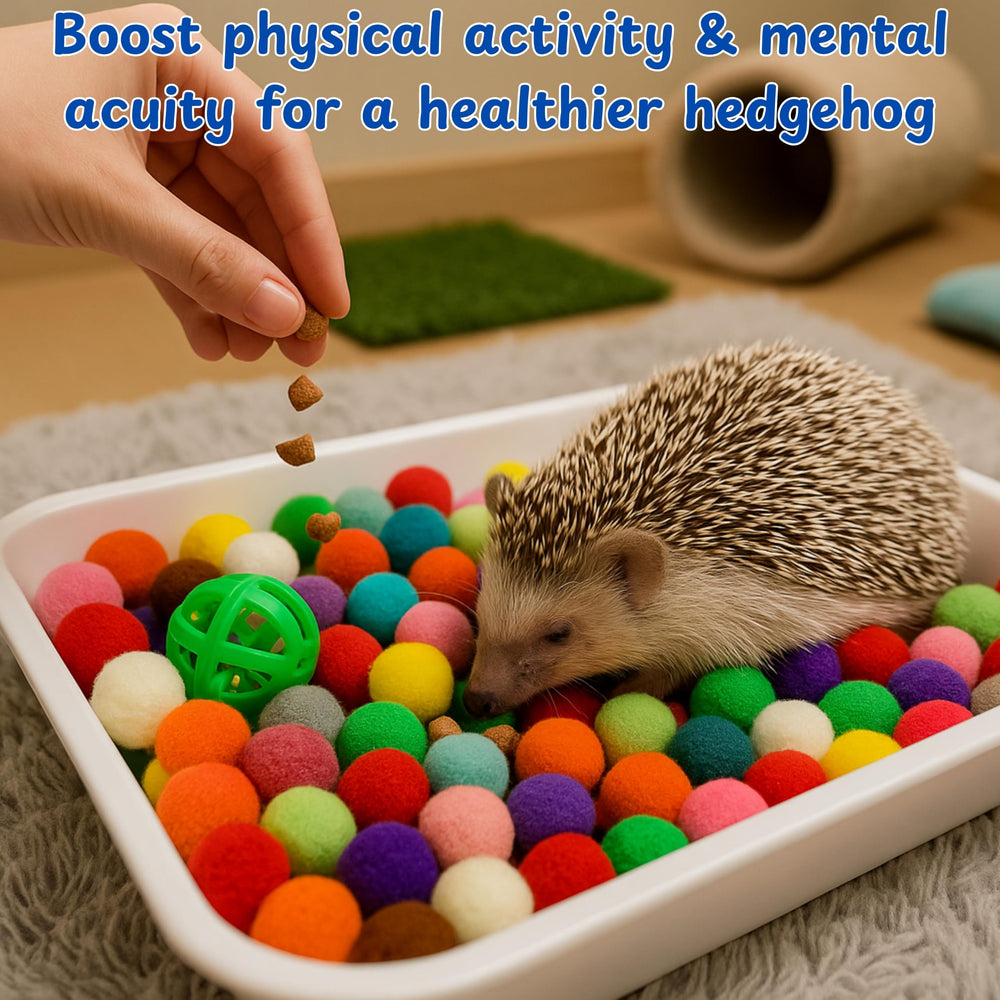 Homedy Crafts customizable-enrichment-space lets you tailor hedgehog play to preferences.