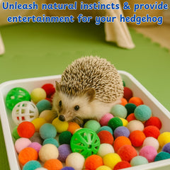Homedy Crafts durable-tray-material ensures long-lasting hedgehog-safe exploration in cages.