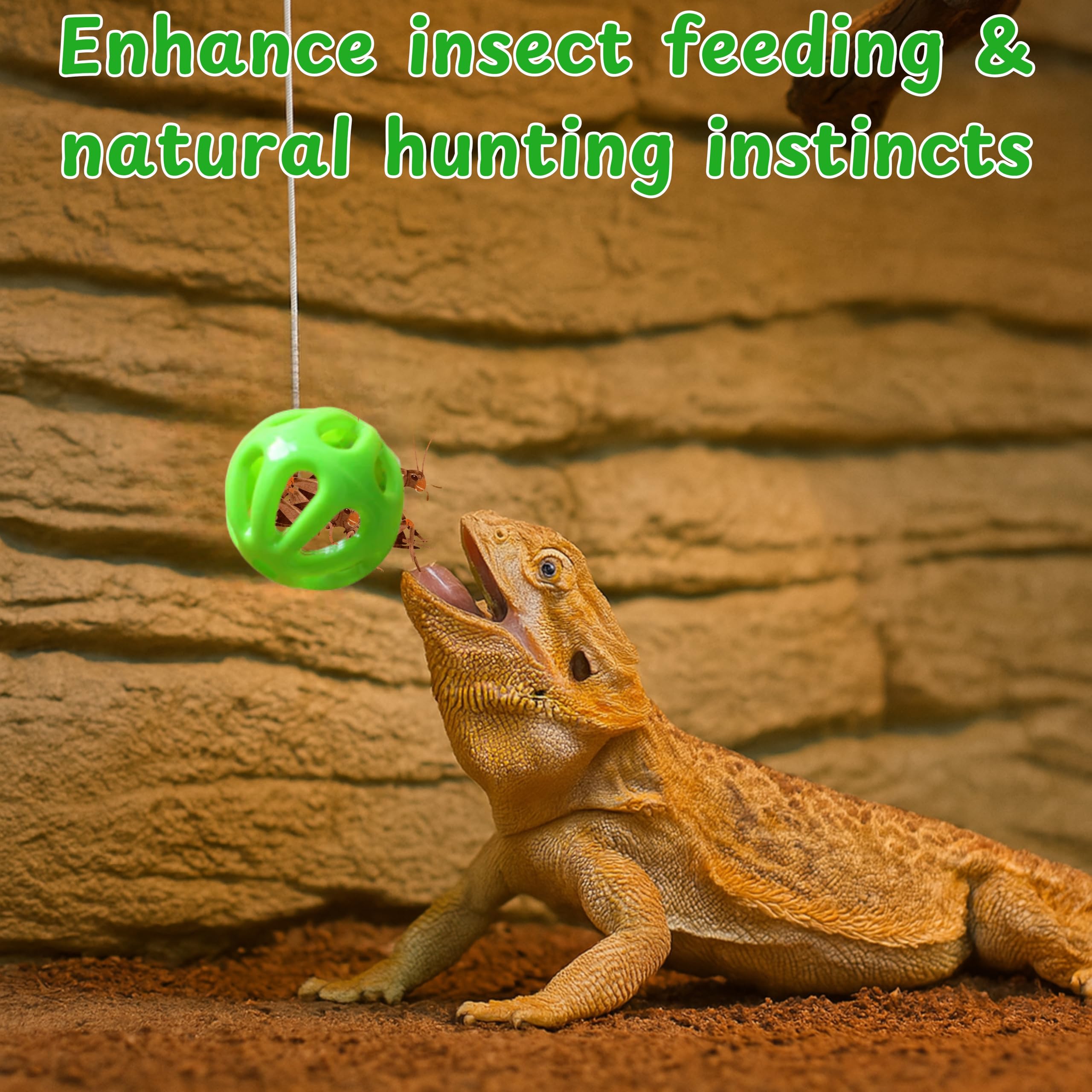 Homedy Crafts yellow enrichment set keeps beardies engaged safely.