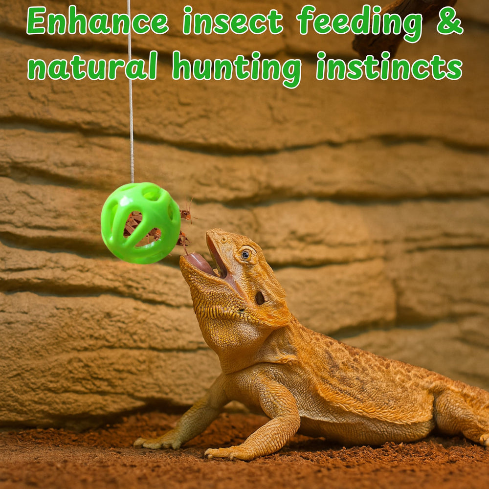 Homedy Crafts yellow enrichment set keeps beardies engaged safely.