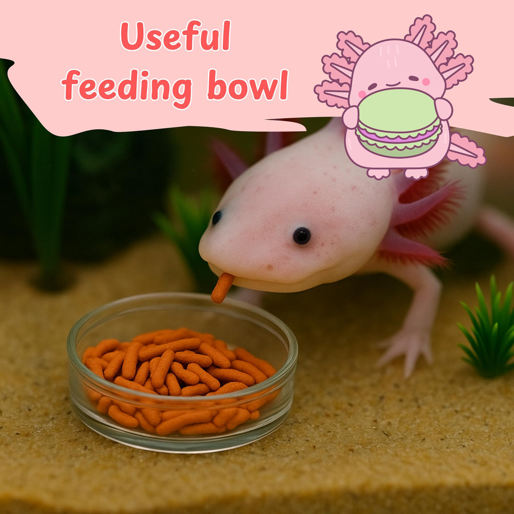 Conjunto duradero de Homedy Crafts para enriquecer el acuario del axolotl.