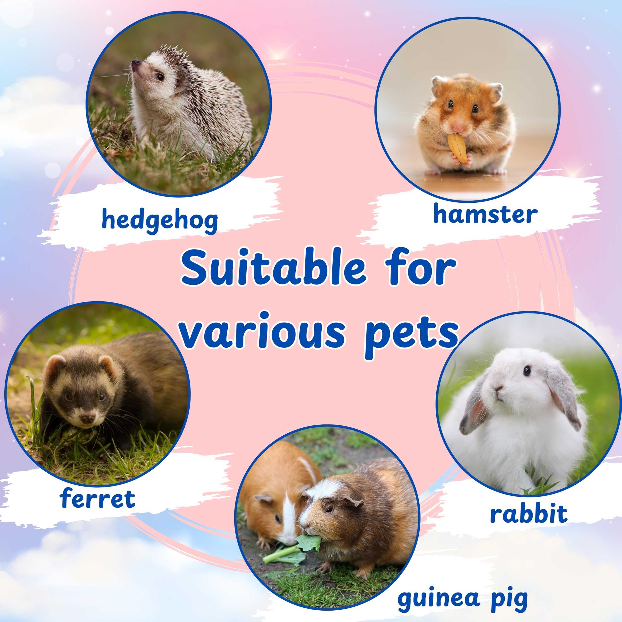 Homedy Crafts Hamster Cage Essentials help create a warm play space.