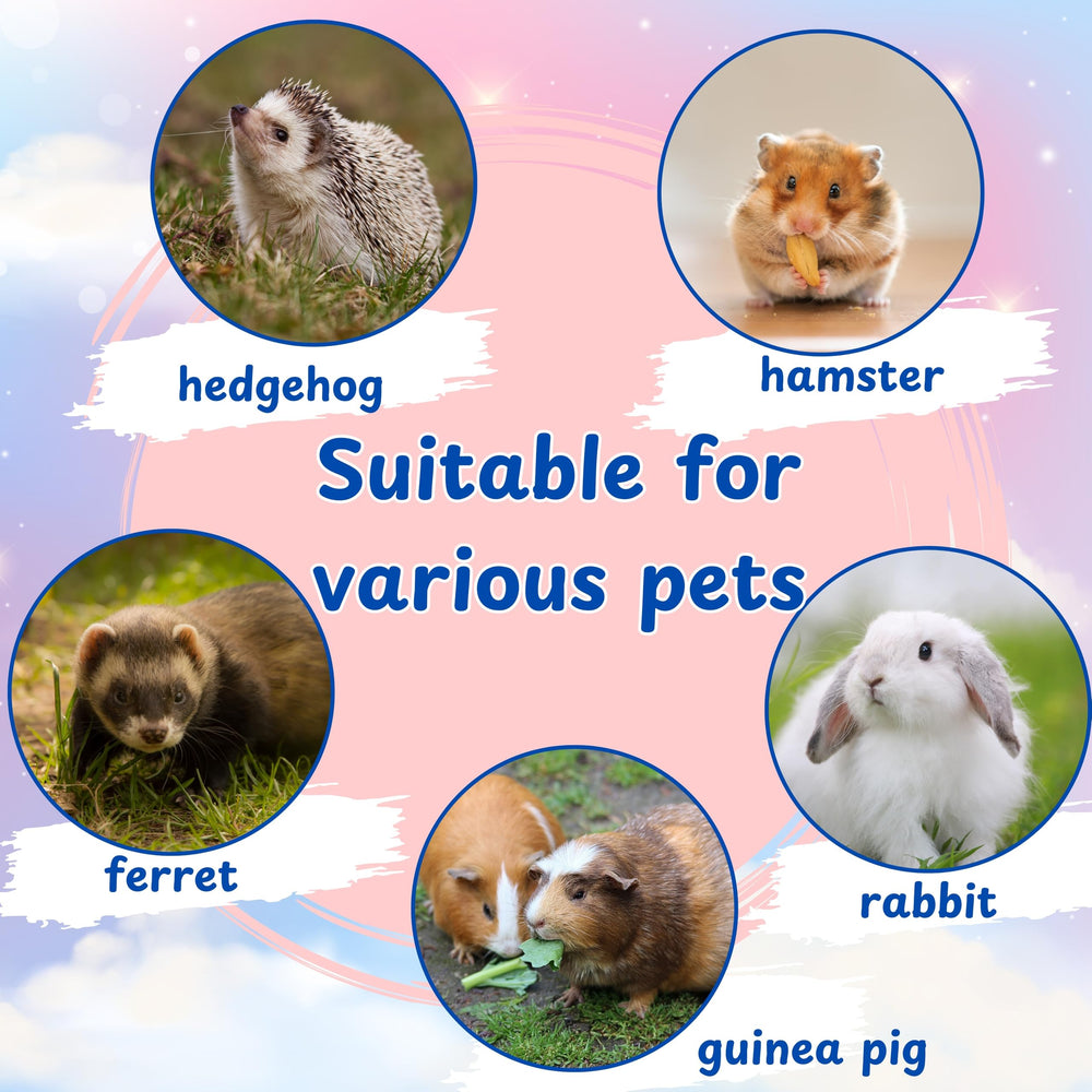 Homedy Crafts Hamster Cage Essentials help create a warm play space.