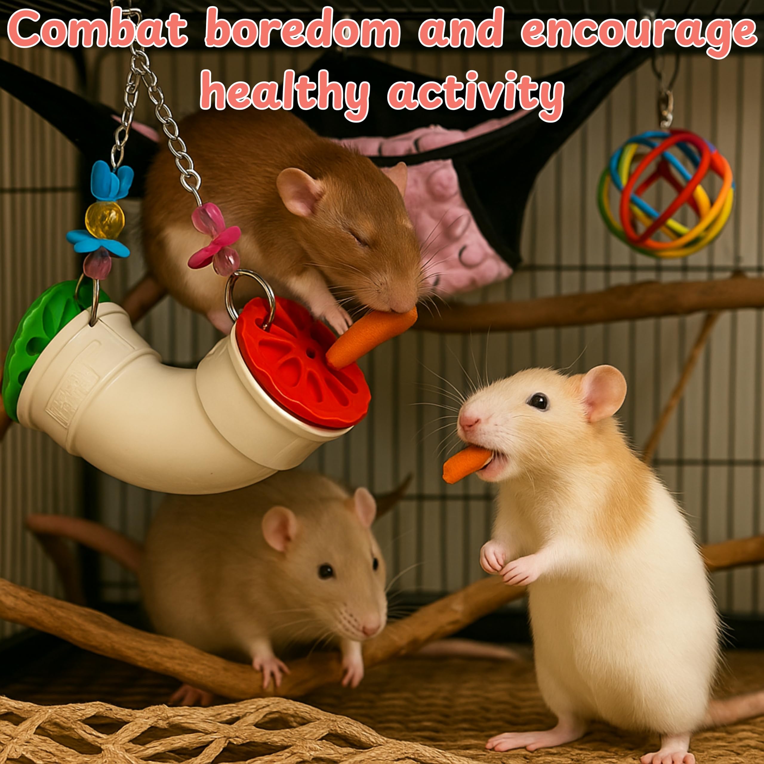 Homedy Crafts interactive treat retrieval strengthens bonding during playtime