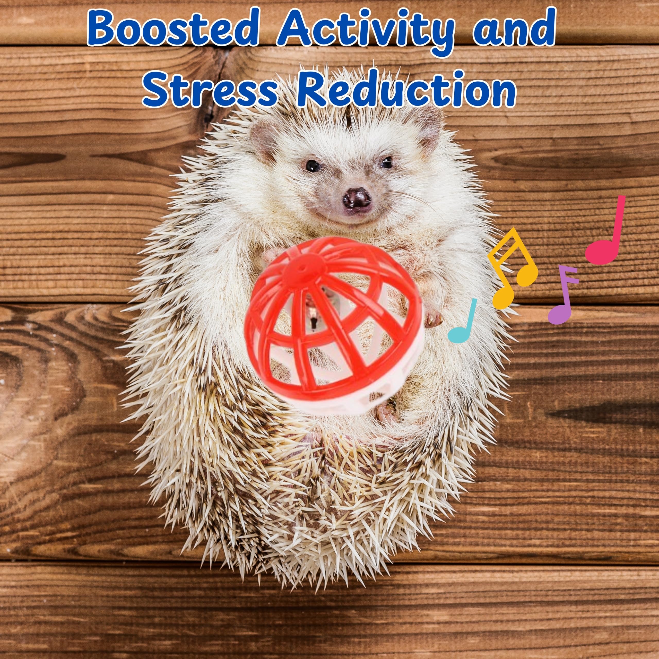 Homedy Crafts safe-play-setup reduces risk while encouraging exploration in small animals.