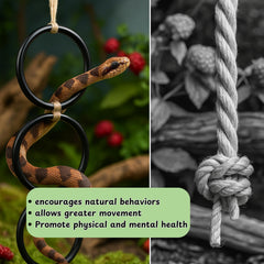 Homedy Crafts elevated hammock adds resting spot in terrarium