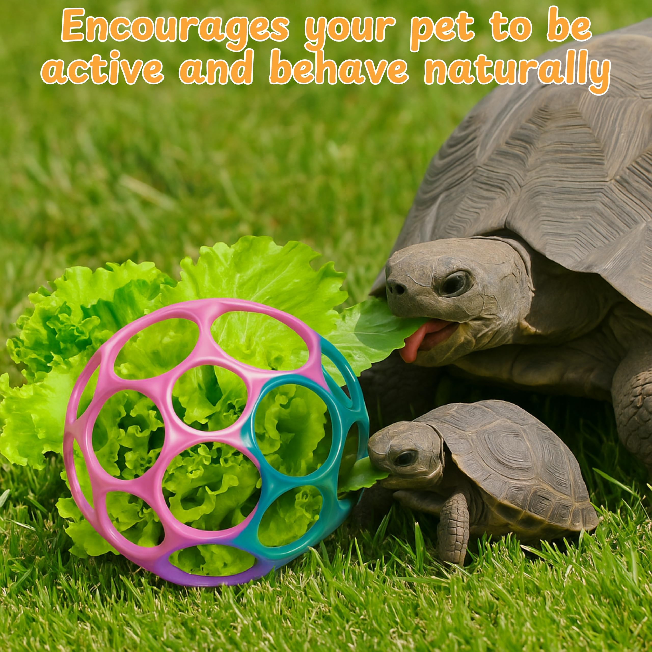 Homedy Turtle Mealtime Interaction Ball showing owner-turtle bonding