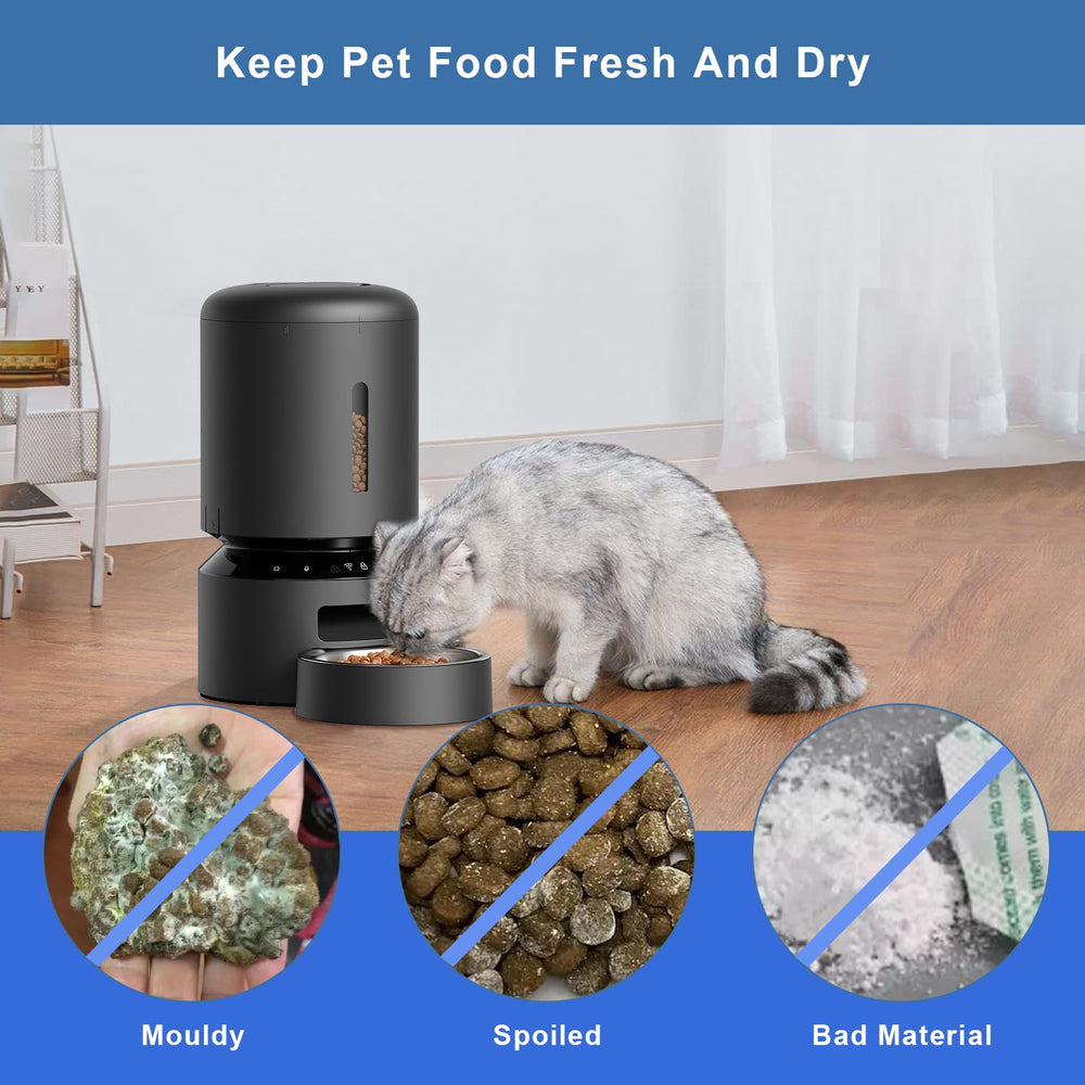 HomeFio desiccant bags replacement tips guide promotes regular freshness.