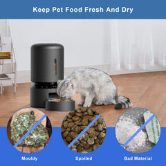 HomeFio desiccant bags replacement tips guide promotes regular freshness.