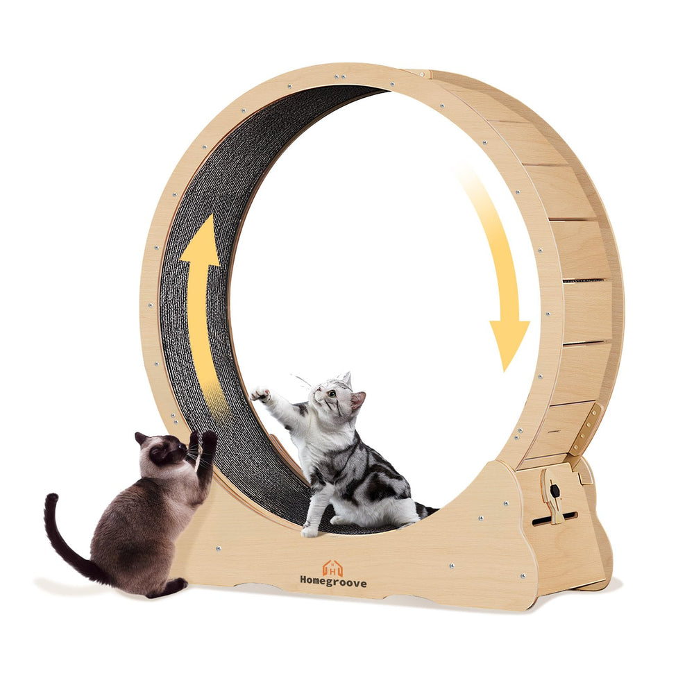 Homegroove Cat Wheel 52inch wooden exercise wheel provides sturdy indoor workout space.