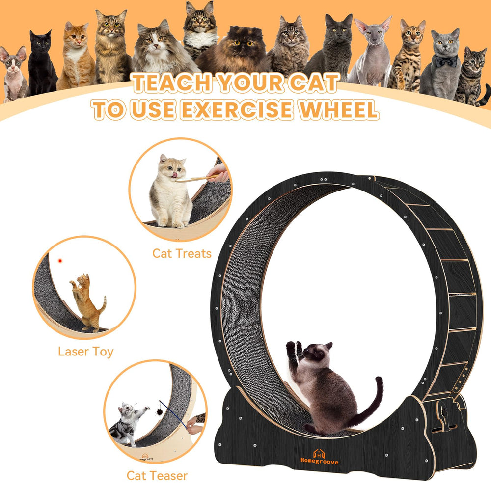 Homegroove Cat Wheel with carpeted runway highlights comfortable traction for cats
