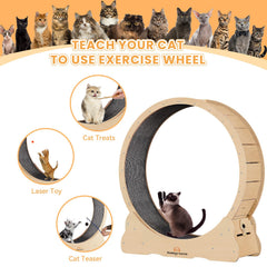 Homegroove Cat Wheel gap upgrade helps prevent pinched feet during mounting.