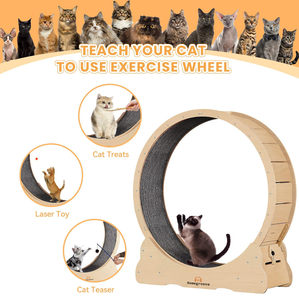 Homegroove cat wheel low noise roller delivers quiet operation during night use.
