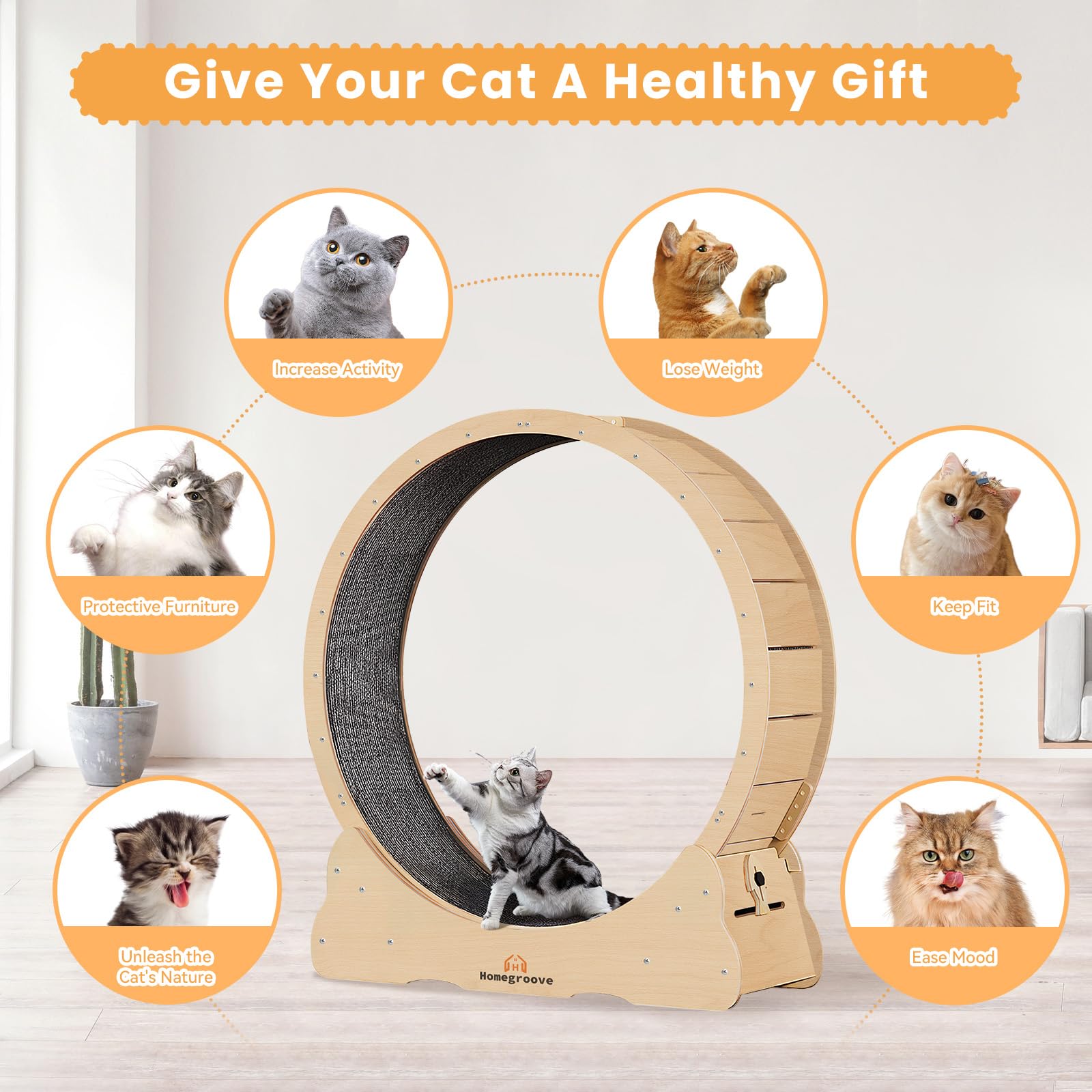 Homegroove cat wheel security lock ensures safe, controlled play.