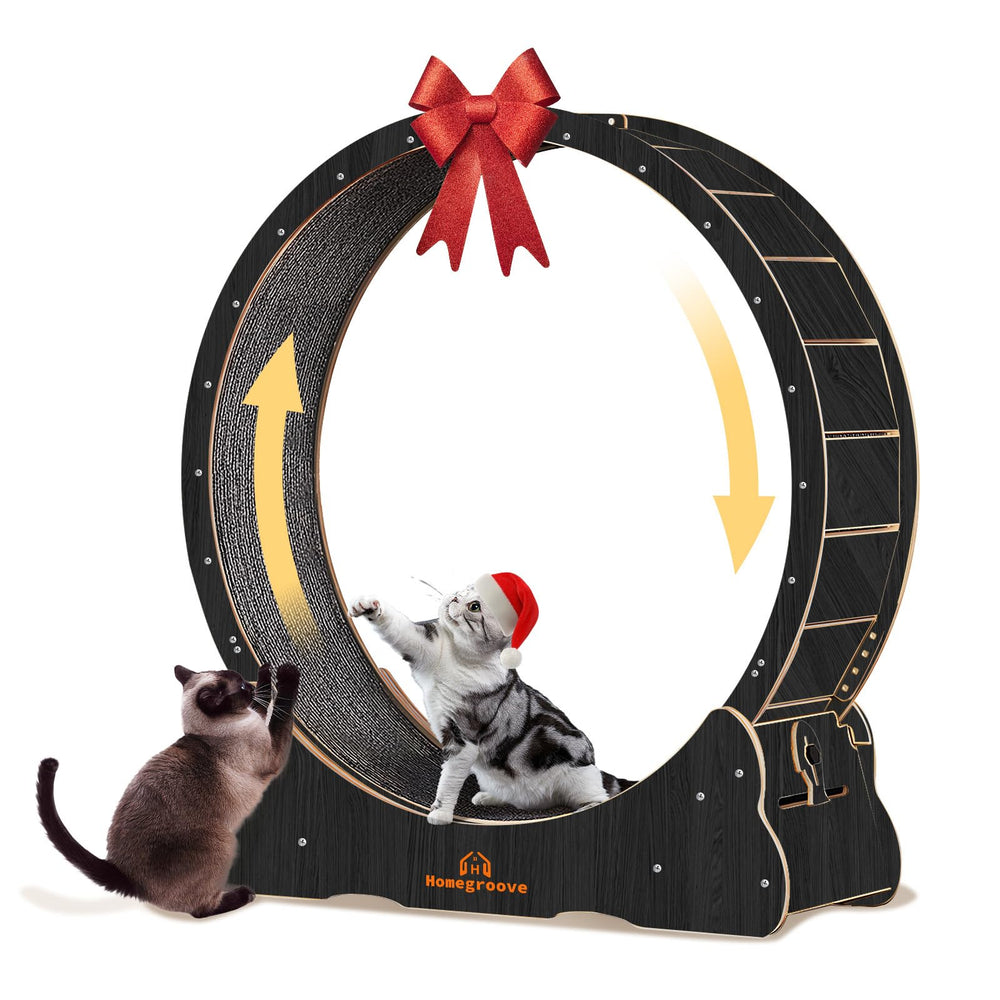 Homegroove Cat Wheel side view showing stable base for safe indoor exercise