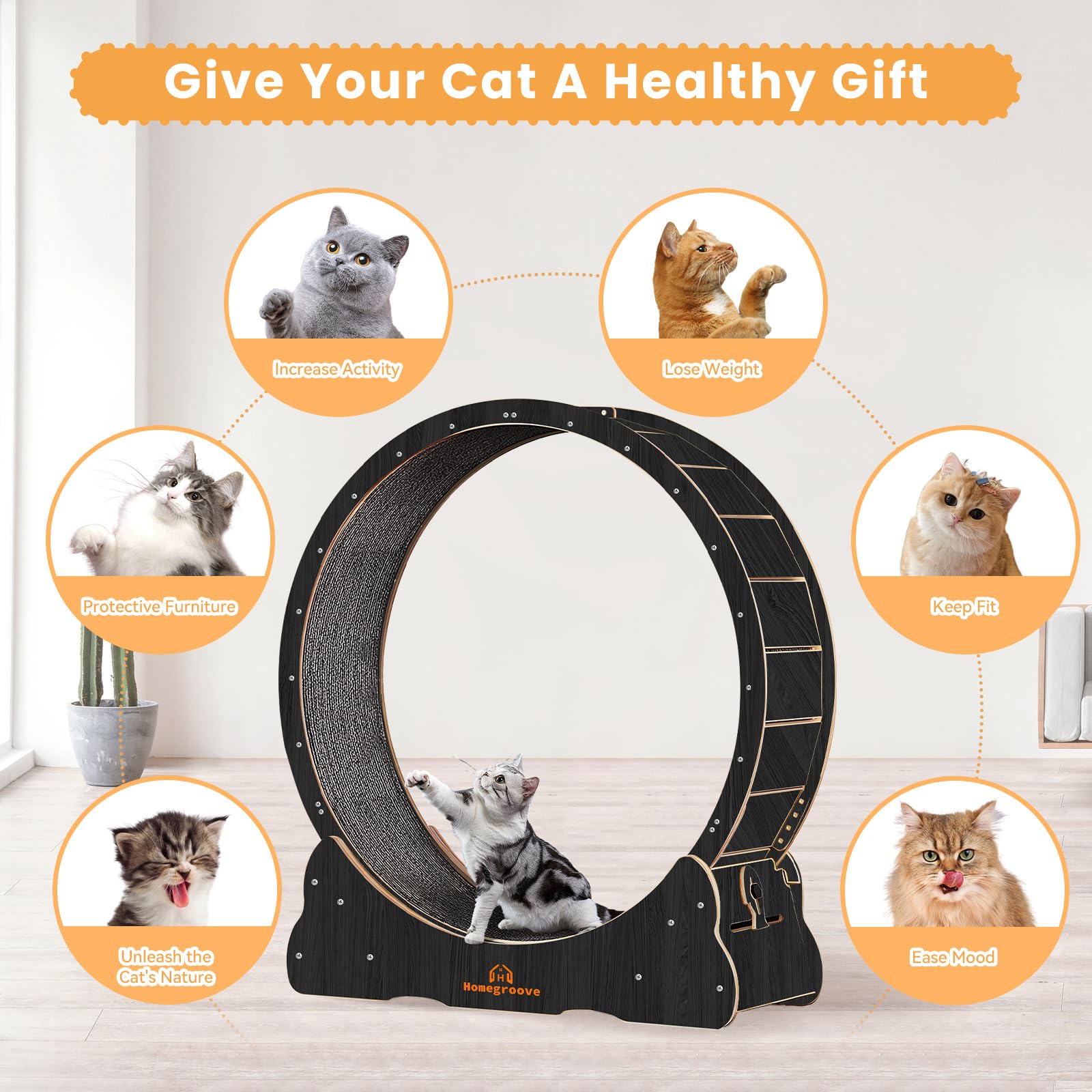 Homegroove Cat Wheel sturdy wood base supports up to 110 pounds