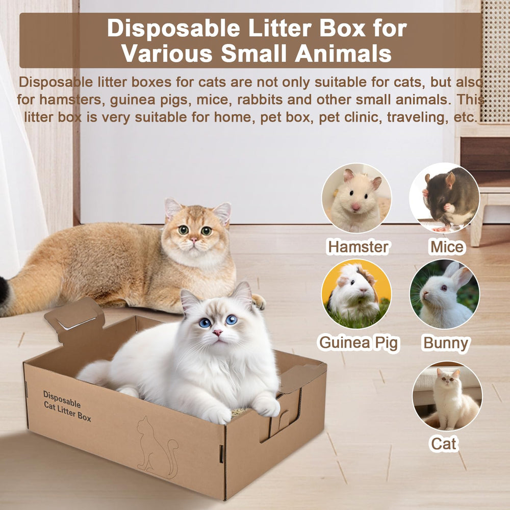 Homegroove disposable-litter-box-dimension-17-4x12-3x5-4 offers ample space for adult cats.