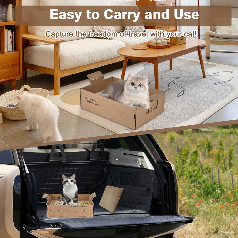 Homegroove-disposable-litter-box-two-pack showcases value and convenience for multi-cat homes.