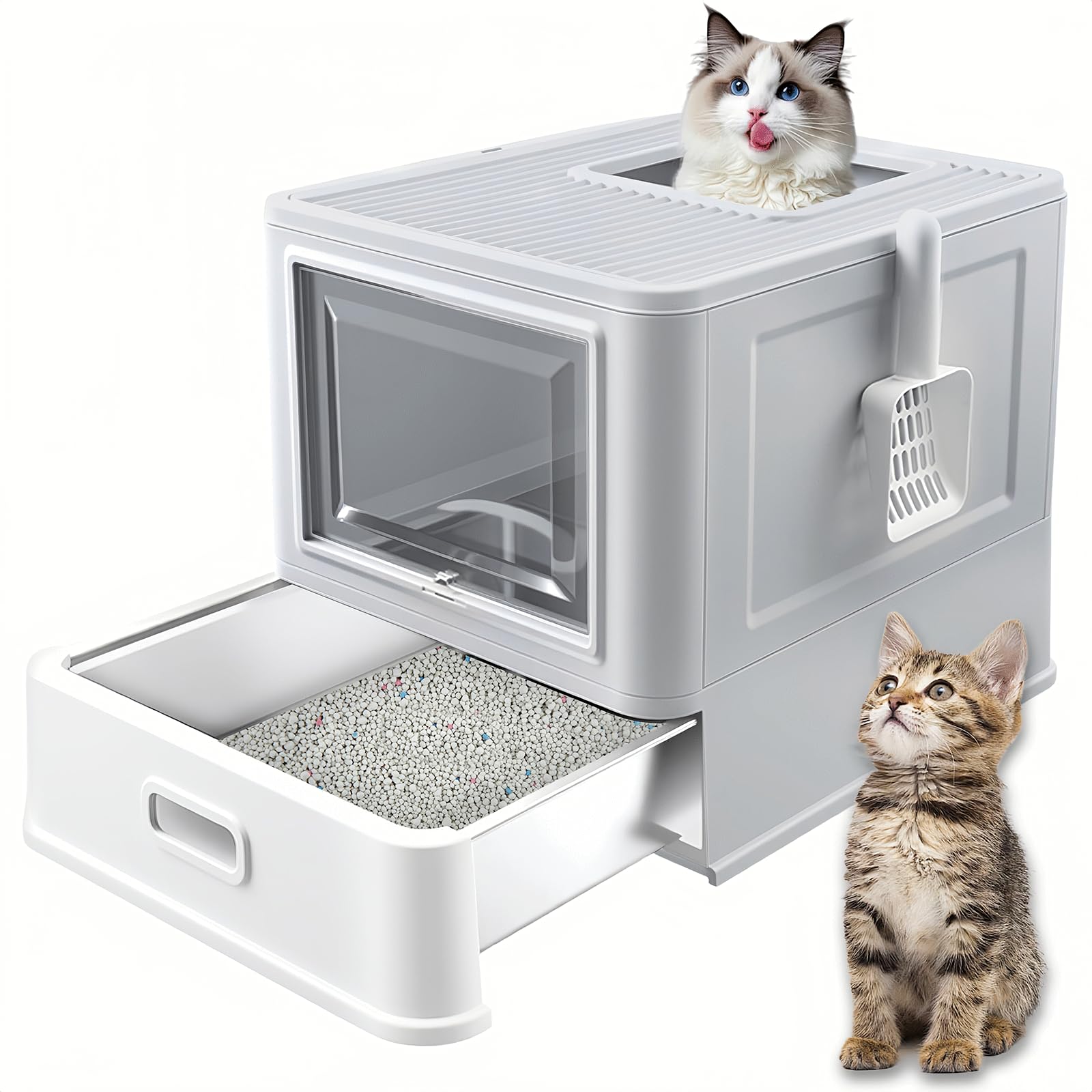 Homegroove stainless steel litter box top-entry with clear flap for easy cat access and reduced mess