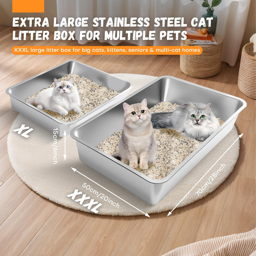 Homegroove xl litter box high-sides close-up highlighting containment