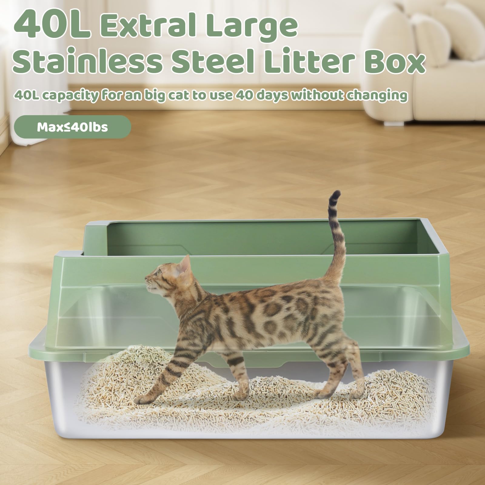 Homegroove XXXL litter box open design allows easy entry and quick scooping.