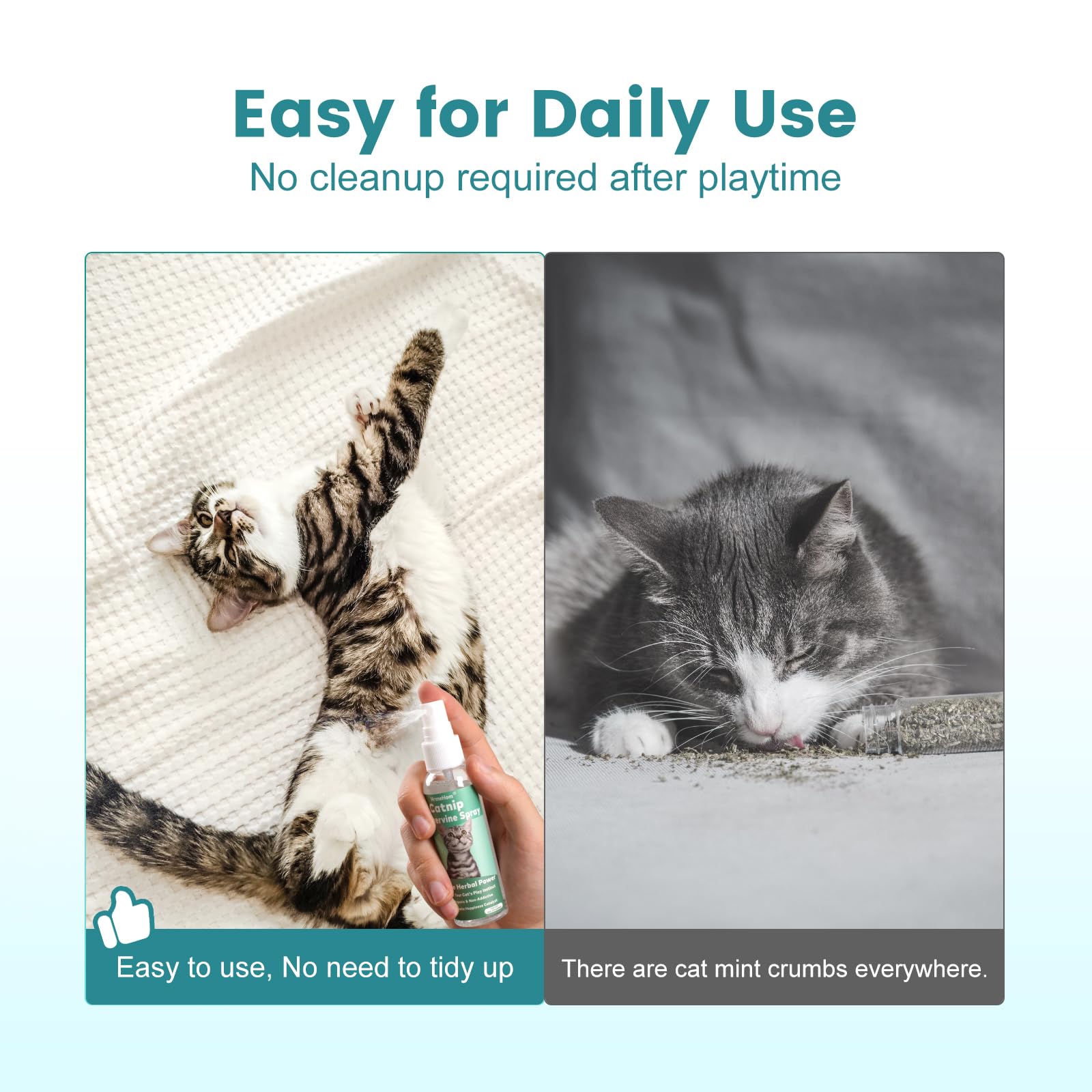 HomeHom Catnip Spray creates relaxed cats after playtime sessions