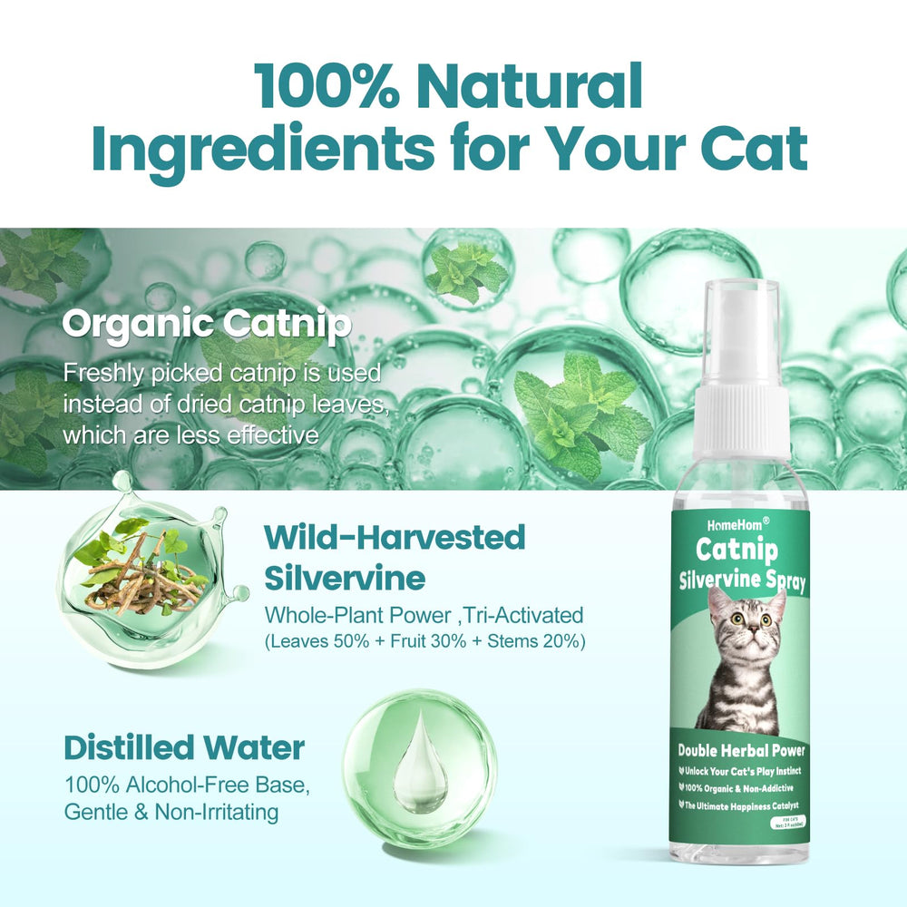 HomeHom Catnip Spray near scratch post promotes natural scratching play