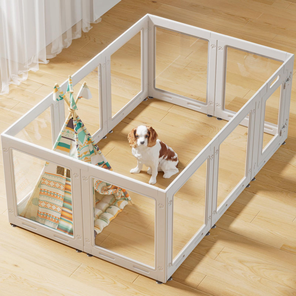 Homelio clear acrylic dog playpen wall view shows unobstructed sightlines for you and puppy.