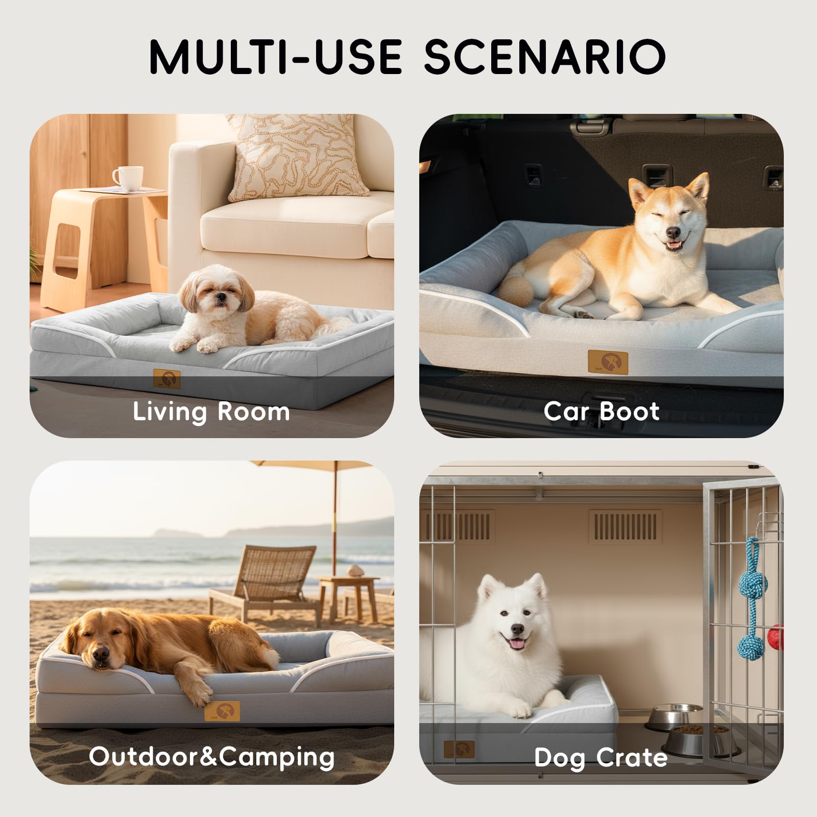 Homemate included-toy image featuring a durable chew toy