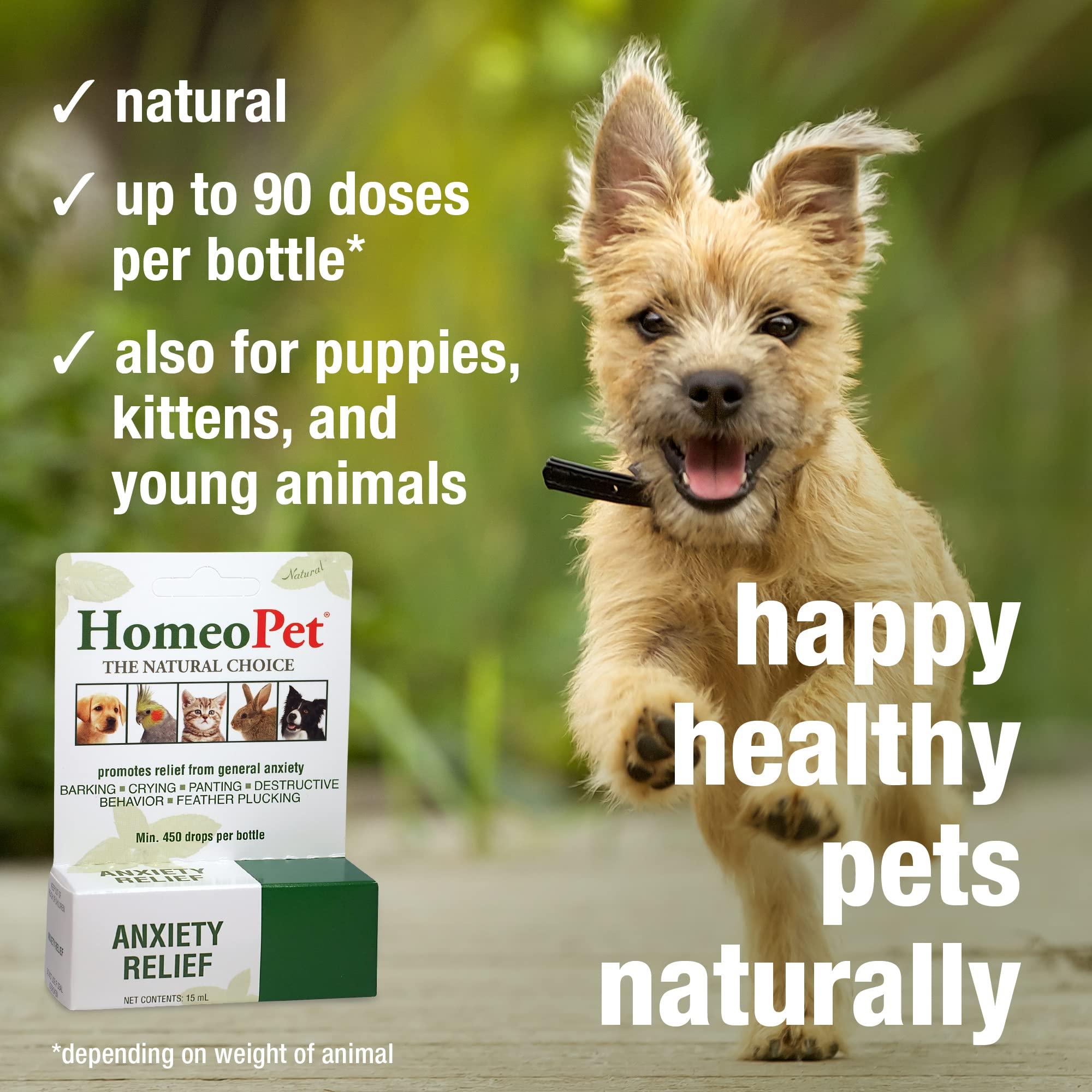 HomeoPet Anxiety Relief supports a bird showing feather-plucking relief cues