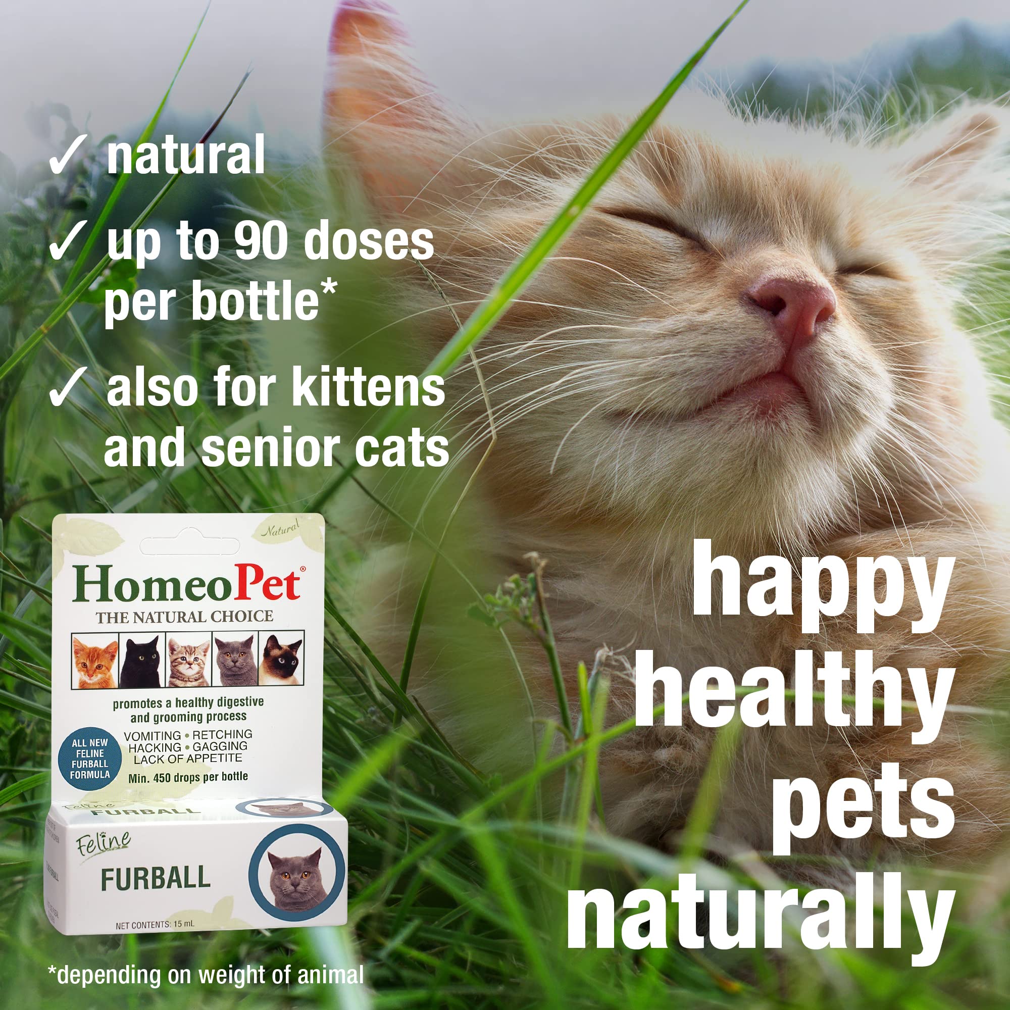 HomeoPet cat all-ages suitability graphic for kittens to seniors.